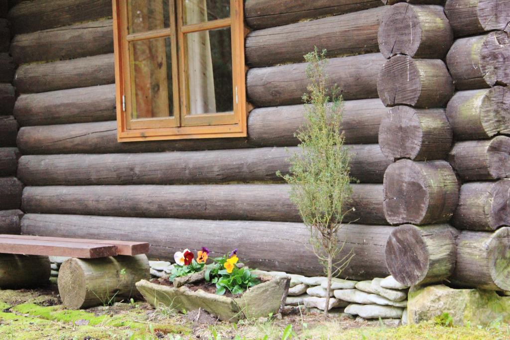 Hotel Kuuli Puhkemajad à Tagaranna Chambre photo